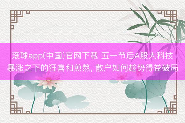 滚球app(中国)官网下载 五一节后A股大科技暴涨之下的狂喜和煎熬, 散户如何趁势得益破局