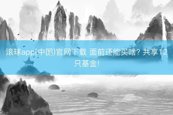 滚球app(中国)官网下载 面前还能买啥? 共享12只基金!