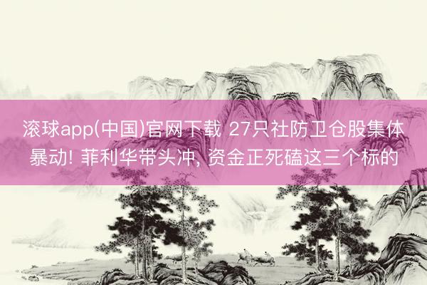 滚球app(中国)官网下载 27只社防卫仓股集体暴动! 菲利华带头冲, 资金正死磕这三个标的