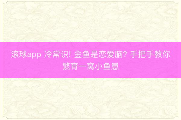 滚球app 冷常识! 金鱼是恋爱脑? 手把手教你繁育一窝小鱼崽