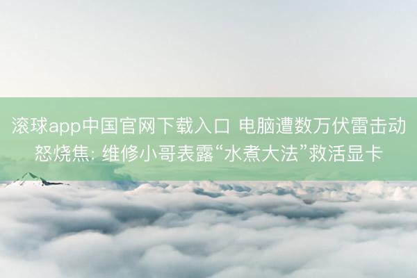 滚球app中国官网下载入口 电脑遭数万伏雷击动怒烧焦: 维修小哥表露“水煮大法”救活显卡