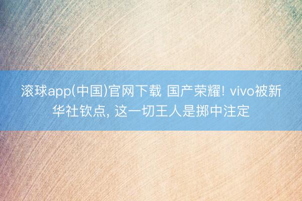 滚球app(中国)官网下载 国产荣耀! vivo被新华社钦点, 这一切王人是掷中注定