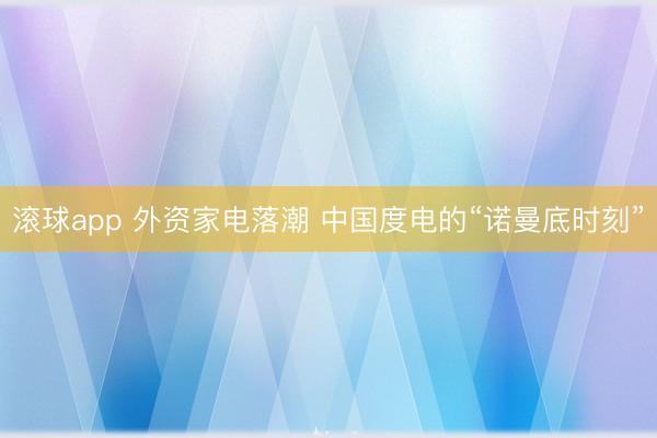 滚球app 外资家电落潮 中国度电的“诺曼底时刻”
