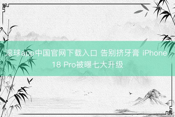 滚球app中国官网下载入口 告别挤牙膏 iPhone 18 Pro被曝七大升级