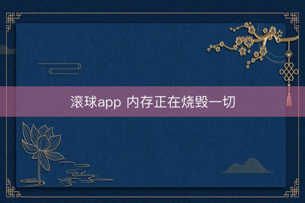 滚球app 内存正在烧毁一切