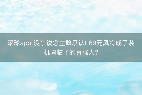 滚球app 没东说念主敢承认! 69元风冷成了装机圈临了的真强人?