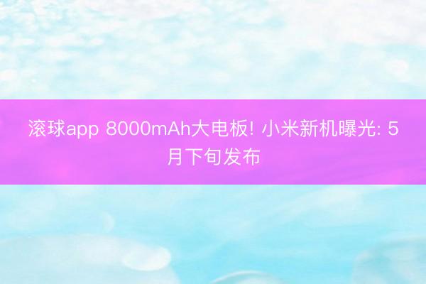 滚球app 8000mAh大电板! 小米新机曝光: 5月下旬发布