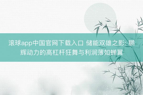 滚球app中国官网下载入口 储能双雄之影: 鹏辉动力的高杠杆狂舞与利润薄如蝉翼