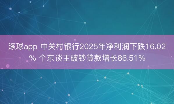 滚球app 中关村银行2025年净利润下跌16.02% 个东谈主破钞贷款增长86.51%