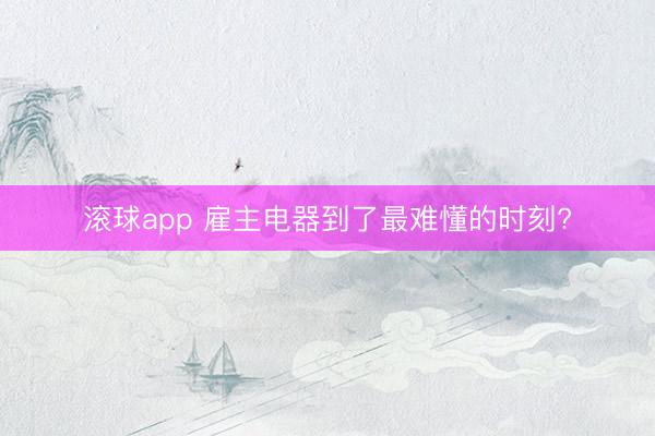 滚球app 雇主电器到了最难懂的时刻?