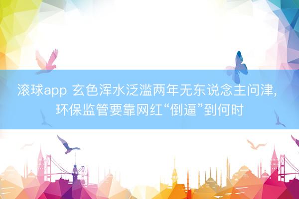 滚球app 玄色浑水泛滥两年无东说念主问津, 环保监管要靠网红“倒逼”到何时