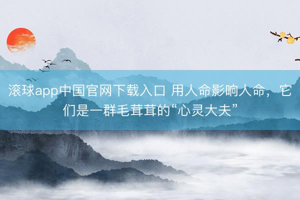 滚球app中国官网下载入口 用人命影响人命，它们是一群毛茸茸的“心灵大夫”