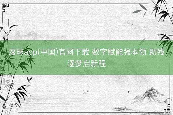 滚球app(中国)官网下载 数字赋能强本领 助残逐梦启新程