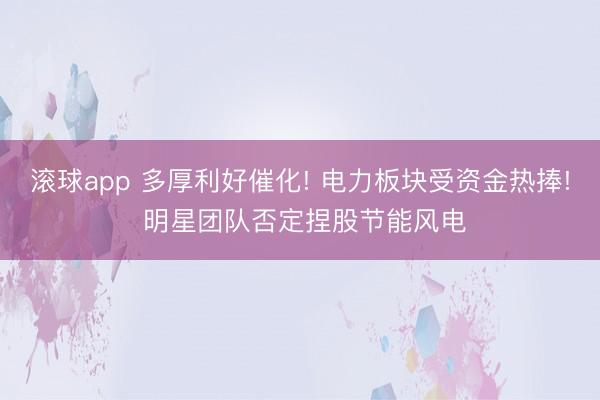 滚球app 多厚利好催化! 电力板块受资金热捧! 明星团队否定捏股节能风电