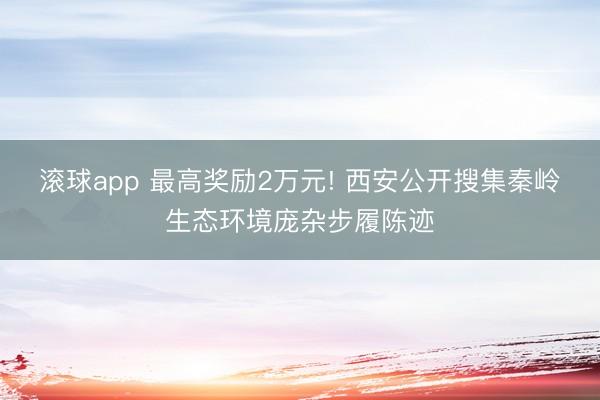 滚球app 最高奖励2万元! 西安公开搜集秦岭生态环境庞杂步履陈迹