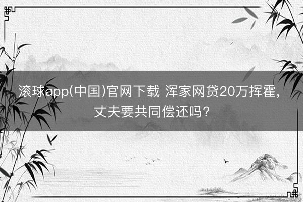滚球app(中国)官网下载 浑家网贷20万挥霍， 丈夫要共同偿还吗?