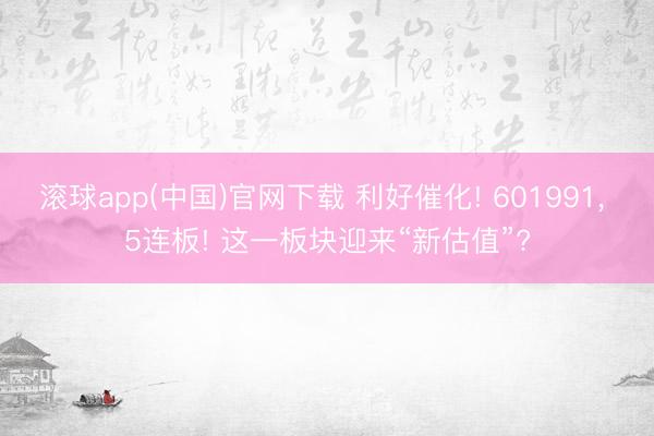 滚球app(中国)官网下载 利好催化! 601991， 5连板! 这一板块迎来“新估值”?