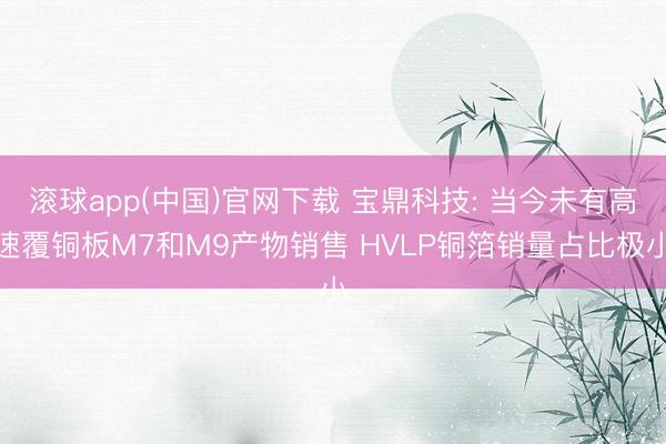 滚球app(中国)官网下载 宝鼎科技: 当今未有高速覆铜板M7和M9产物销售 HVLP铜箔销量占比极小