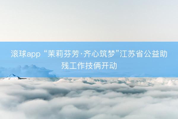 滚球app “茉莉芬芳·齐心筑梦”江苏省公益助残工作技俩开动