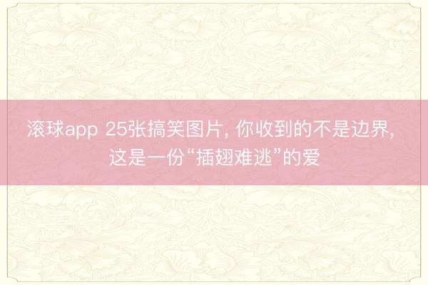 滚球app 25张搞笑图片， 你收到的不是边界， 这是一份“插翅难逃”的爱
