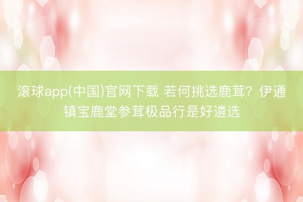 滚球app(中国)官网下载 若何挑选鹿茸?伊通镇宝鹿堂参茸极