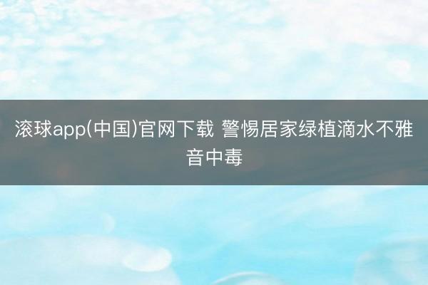滚球app(中国)官网下载 警惕居家绿植滴水不雅音中毒