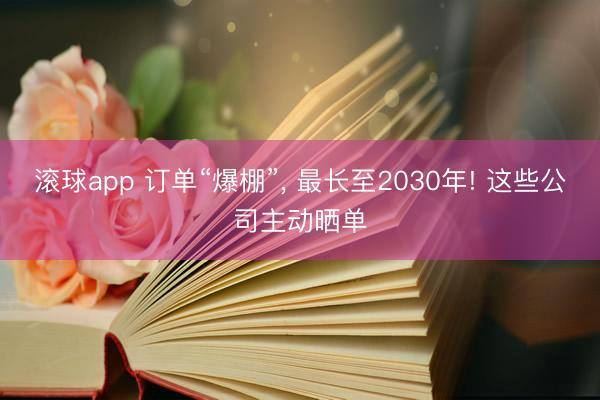滚球app 订单“爆棚”， 最长至2030年! 这些公司主动晒单