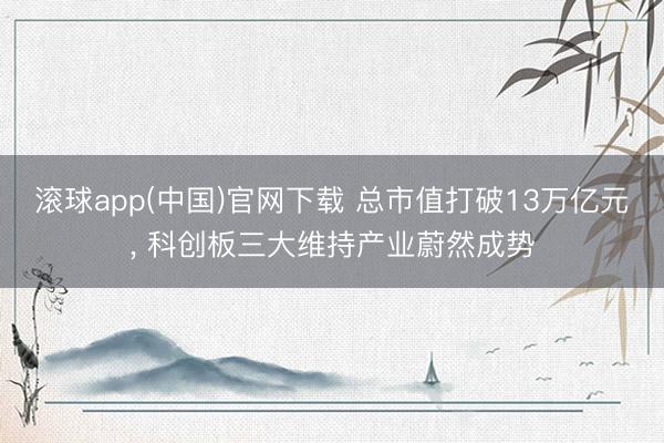 滚球app(中国)官网下载 总市值打破13万亿元， 科创板三大维持产业蔚然成势