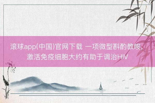 滚球app(中国)官网下载 一项微型斟酌教唆， 激活免疫细胞大约有助于调治HIV
