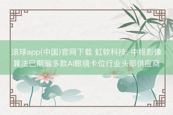 滚球app(中国)官网下载 虹软科技: 中枢影像算法已期骗多款AI眼镜卡位行业头部供应商