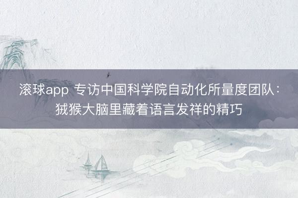 滚球app 专访中国科学院自动化所量度团队：狨猴大脑里藏着语言发祥的精巧