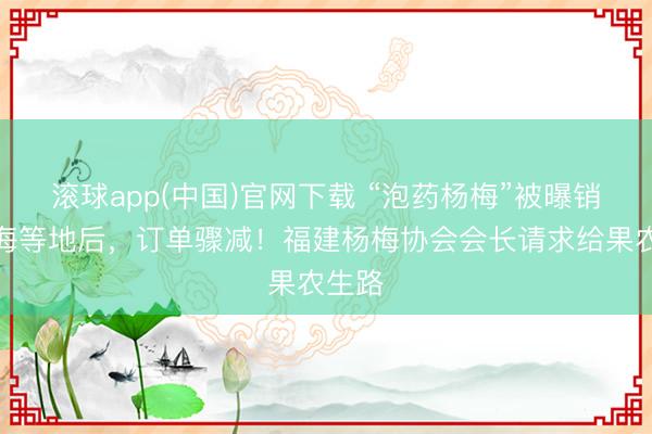 滚球app(中国)官网下载 “泡药杨梅”被曝销往上海等地后，订单骤减！福建杨梅协会会长请求给果农生路