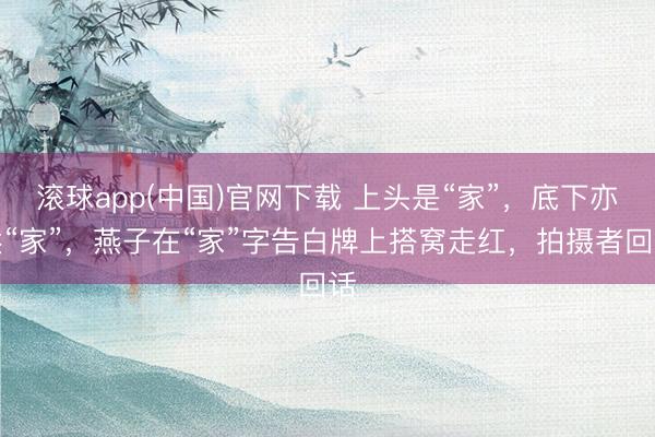 滚球app(中国)官网下载 上头是“家”，底下亦然“家”，燕子在“家”字告白牌上搭窝走红，拍摄者回话