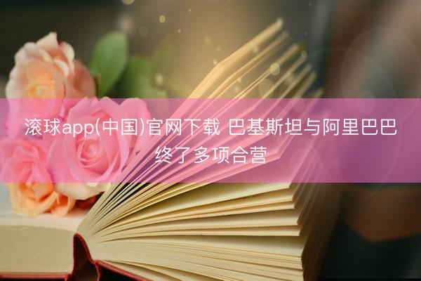 滚球app(中国)官网下载 巴基斯坦与阿里巴巴终了多项合营