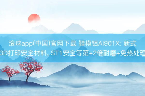 滚球app(中国)官网下载 鞋模铝Al901X: 新式3D打印安全材料， ST1安全等第+2倍耐磨+免热处理