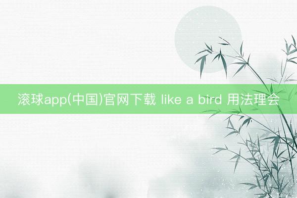 滚球app(中国)官网下载 like a bird 用法理会
