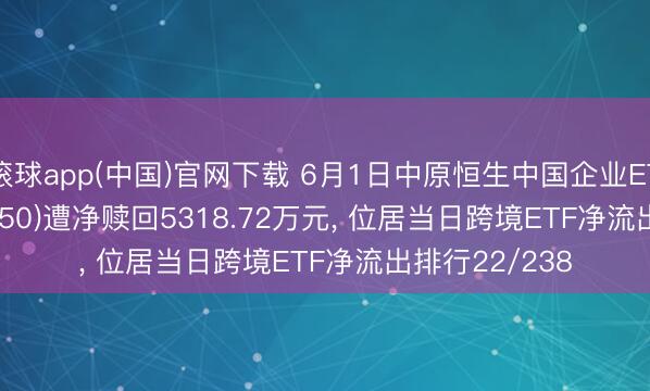 滚球app(中国)官网下载 6月1日中原恒生中国企业ETF(QDII)(159850)遭净赎回5318.72万元， 位居当日跨境ETF净流出排行22/238