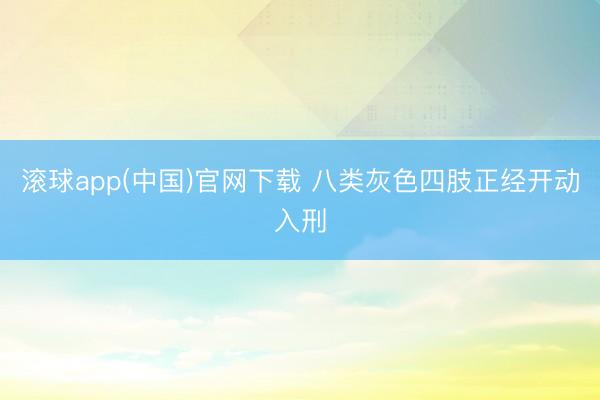 滚球app(中国)官网下载 八类灰色四肢正经开动入刑