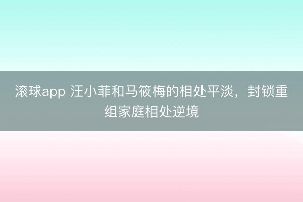 滚球app 汪小菲和马筱梅的相处平淡，封锁重组家庭相处逆境