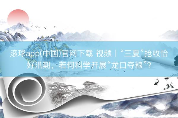 滚球app(中国)官网下载 视频丨“三夏”抢收恰好汛期，若何科学开展“龙口夺粮”？