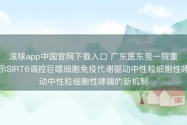 滚球app中国官网下载入口 广东医东莞一院重磅后果：揭示SIRT6调控巨噬细胞免疫代谢驱动中性粒细胞性哮喘的新机制